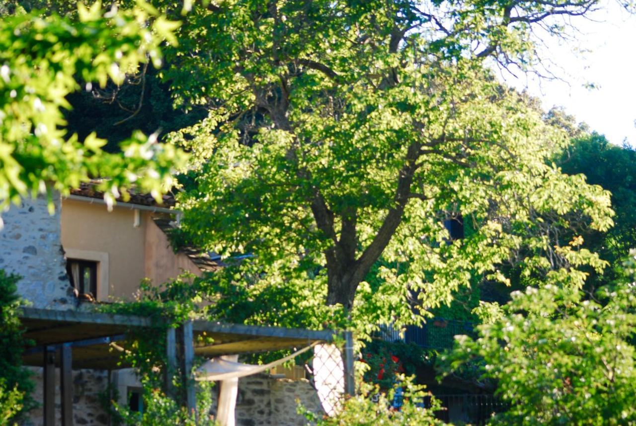 Le Moulin D'Arcas. Bed & Breakfast Prémian Екстериор снимка