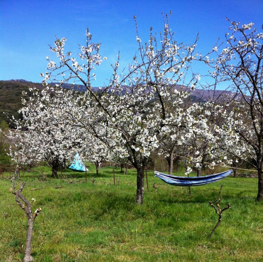 Le Moulin D'Arcas. Bed & Breakfast Prémian Екстериор снимка